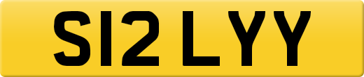 S12LYY